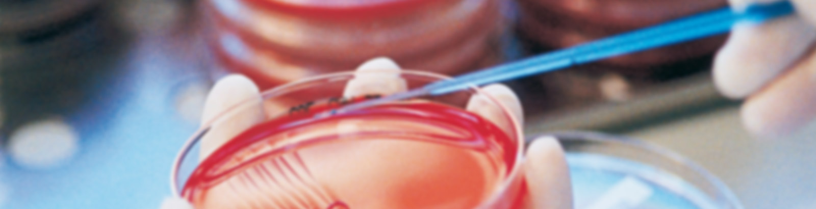 Labor Dr. Eberhard & Partner Dortmund, www.labmed.de